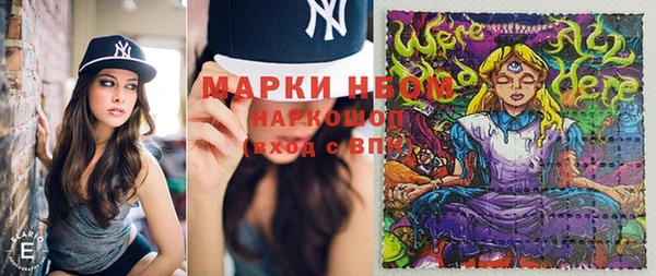 винт Алзамай