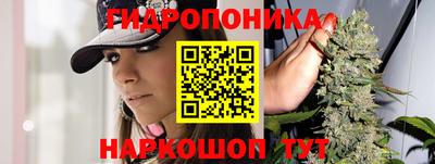 бошки Заводоуковск