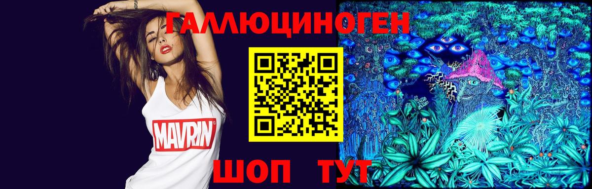Галлюциногенные грибы Psilocybine cubensis  Вход с VPN  Нальчик 
