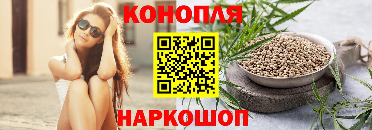 Шишки марихуана конопля  Каннабис план  Вход с VPN  Каннабис LSD WEED  Нальчик 